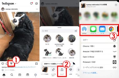 インスタの共有ボタンの場所 | フィードをシェアする方法1