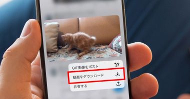 【2024年】X/TwitterのGIF動画をダウンロードして保存する方法