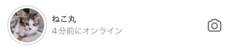 インスタで友だちが「オンライン」か緑の丸で確認する方法と自分を非表示化する方法の画像6