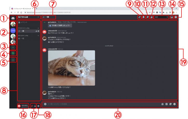 【ブラウザ版】Discordの使い方を徹底解説｜ログイン方法から画面共有までの画像10