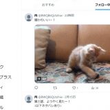 photo010-22
