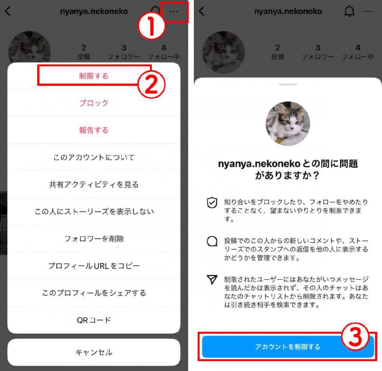 インスタで友だちが「オンライン」か緑の丸で確認する方法と自分を非表示化する方法の画像11