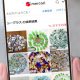 ほぼゼロ円で入手できるのにメルカリで売れるもの10選 「海辺で拾えるもの」「チラシ」など