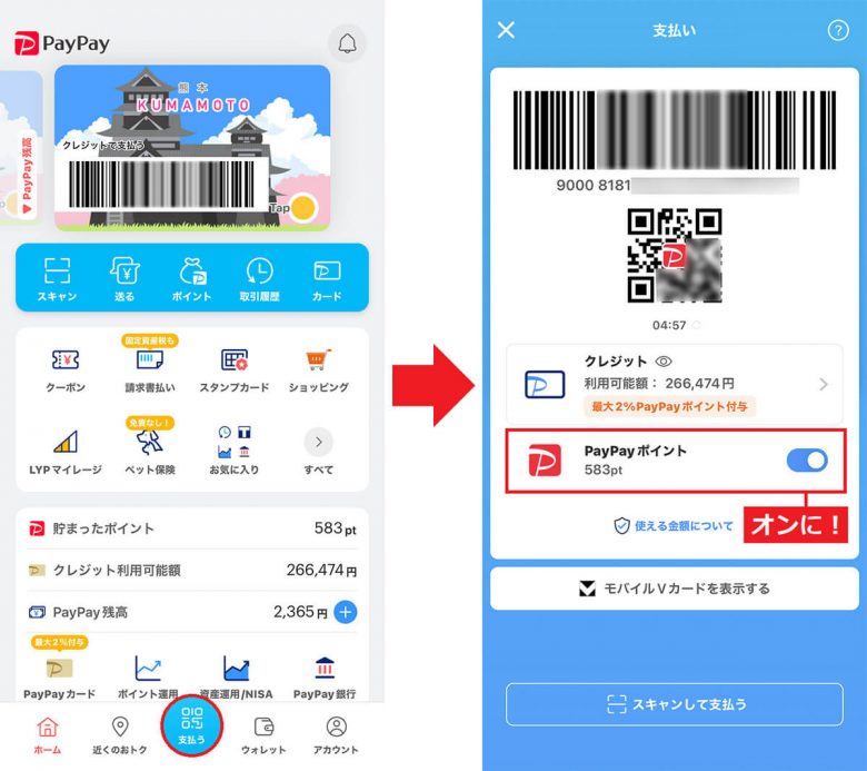 PayPay払い「PayPayポイント」で支払う方法が分からない、どうすればいいの？の画像1