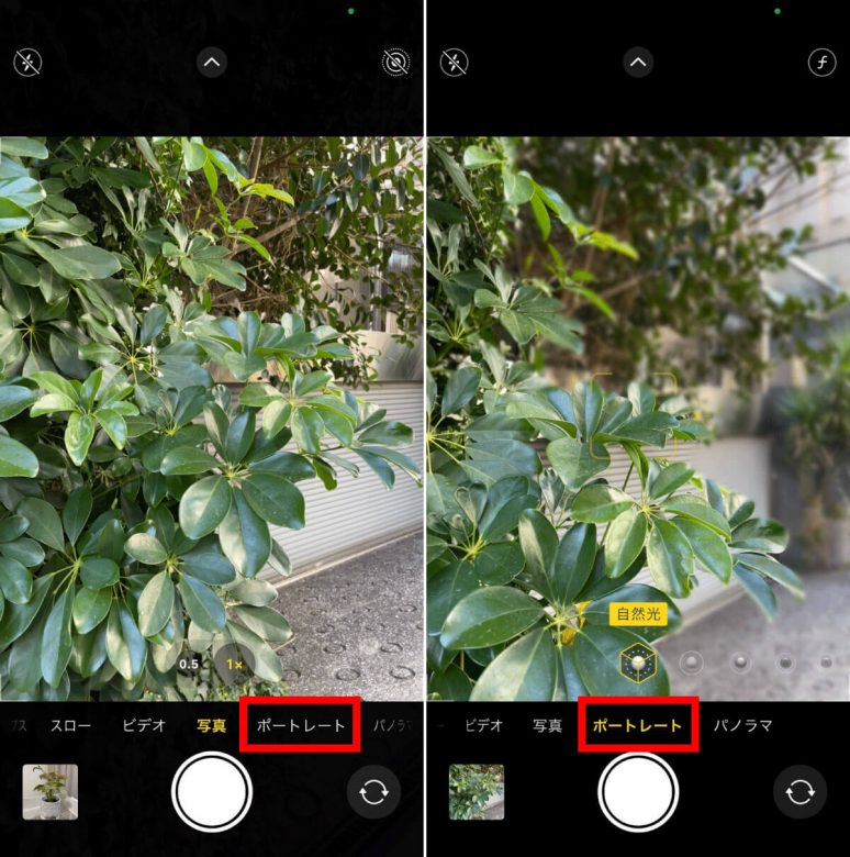 【iPhone】写真にアプリ無しで後からぼかしを入れる方法：背景ぼかしから一部分までの画像1