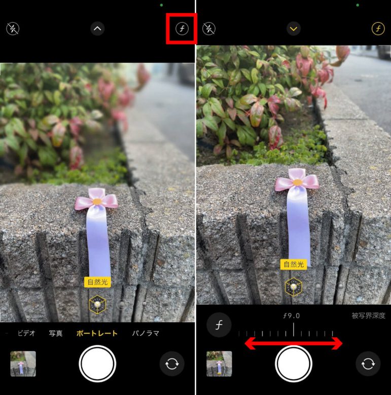 【iPhone】写真にアプリ無しで後からぼかしを入れる方法：背景ぼかしから一部分までの画像2