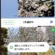 LINEで送った写真、なんか画質悪くない？ 原因とオリジナル画質で送る方法