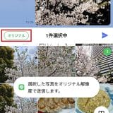 photo002-5-3