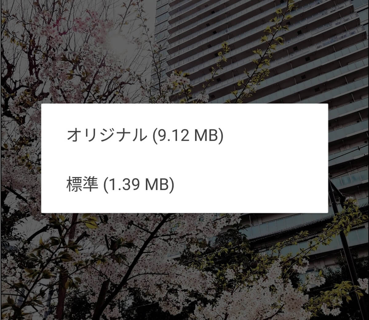 LINEで送った写真、なんか画質悪くない? 原因とオリジナル画質で送る方法の画像8