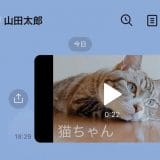 photo015-4