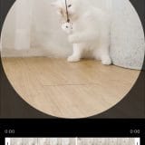 pho01-2