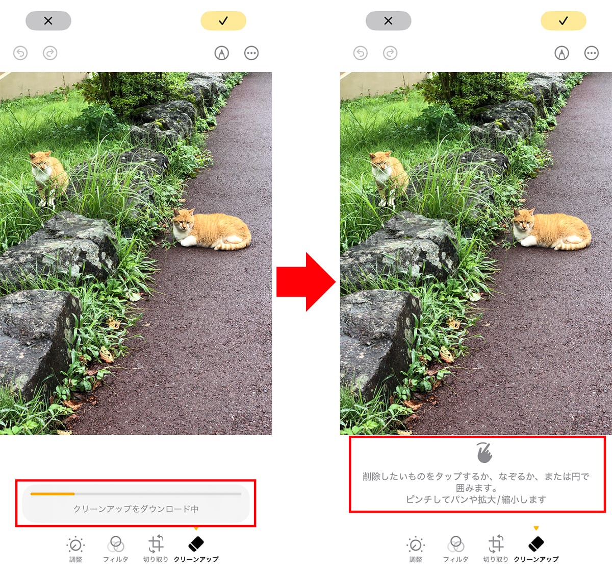 <チェック中>消しゴムマジックに匹敵!? iPhoneの「クリーンアップ」機能を試してわかった実力の画像1