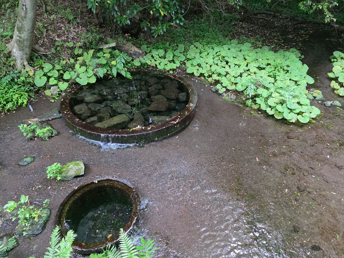 カメラ性能やバッテリー性能のさらなる追及2