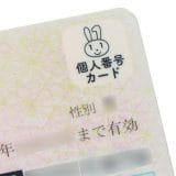 pho25062104