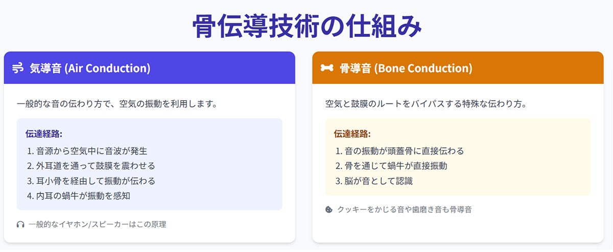 骨伝導技術の基本 - なぜ「骨」で音が聞こえるのか？1