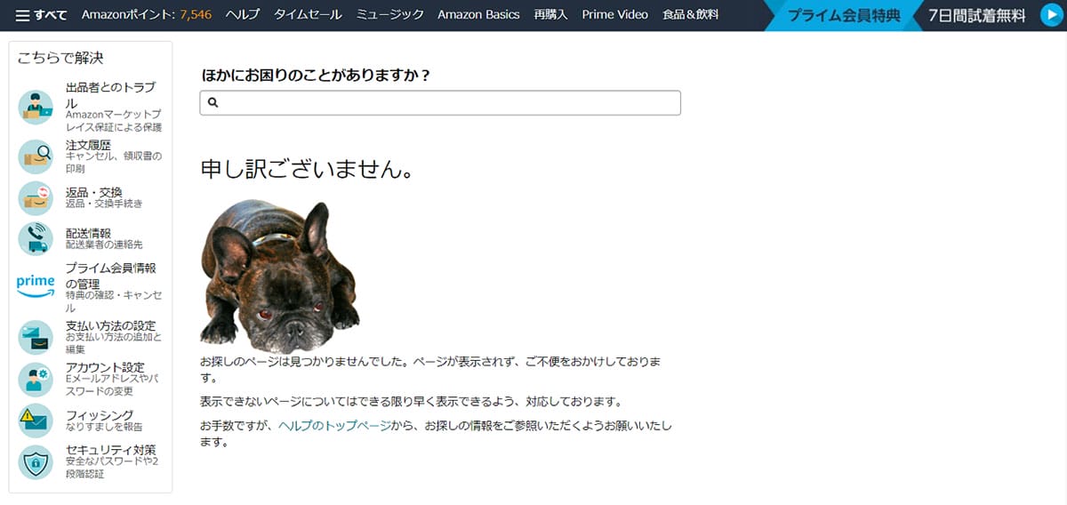 Amazonの「犬」とは？1