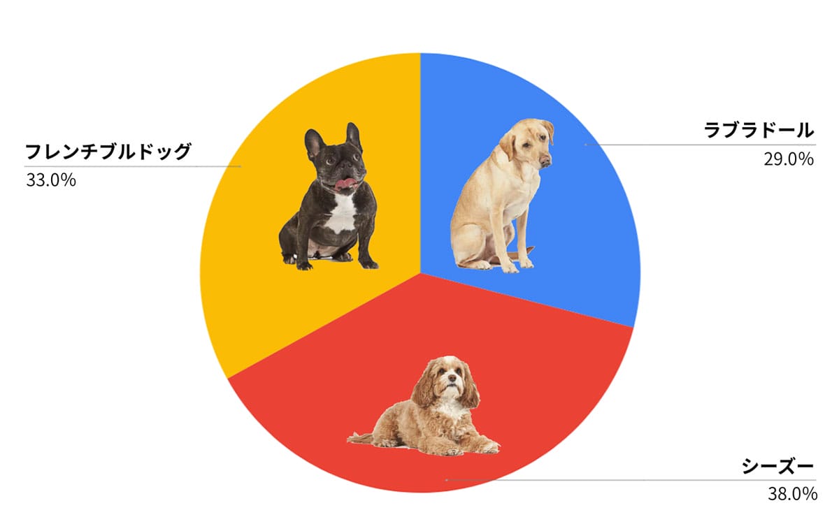 【検証】Amazonの犬の種類の出現率は？1