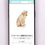 Amazonエラー時の犬を見るには？「ページが見つかりません」404犬の種類と出現条件