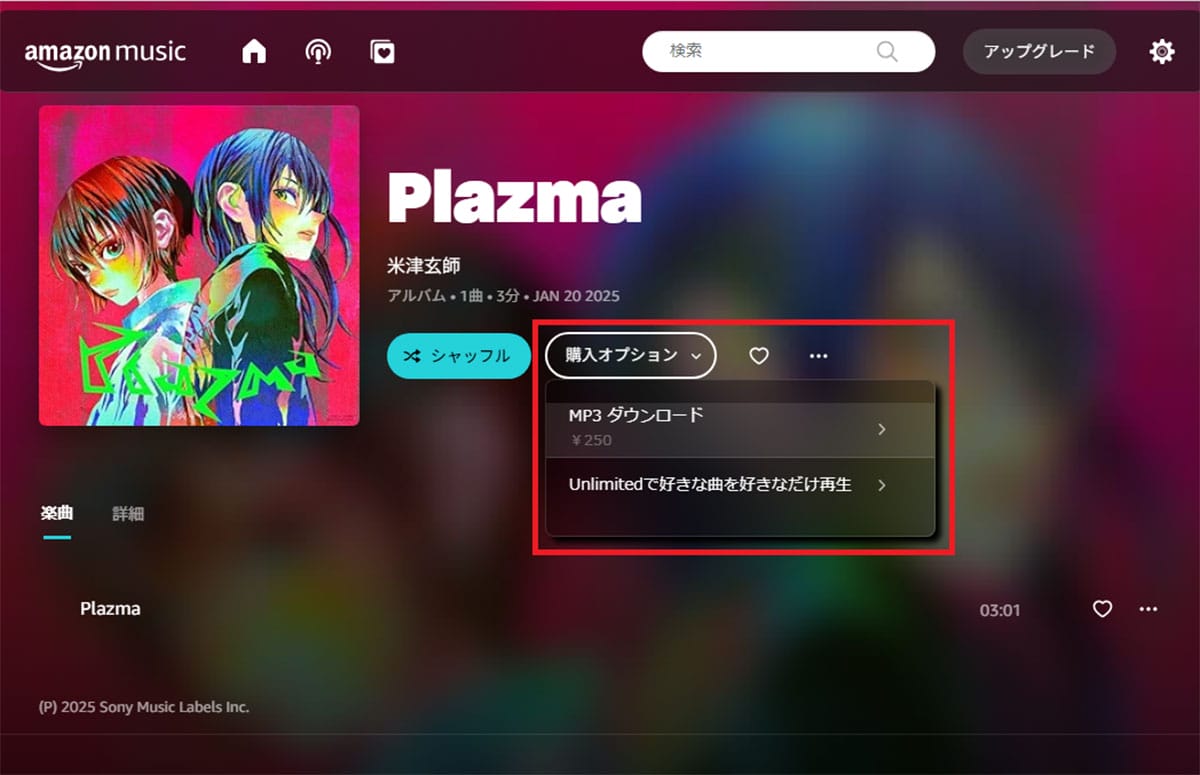 音楽を聴くなら「サブスク」VS「個別購入」あなたはどっち派?の画像8