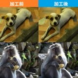 pho02-7