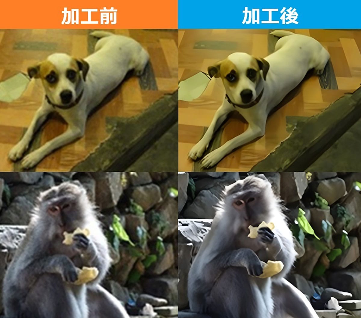無料でここまで!? 汚い写真をAIで高画質化する方法 無料ソフト「Upscayl」の使い方の画像15