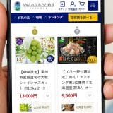 返礼品より“使いやすさ”で支持！ふるさと納税サイトNo.1は『ANAのふるさと納税』【オリコン調査】